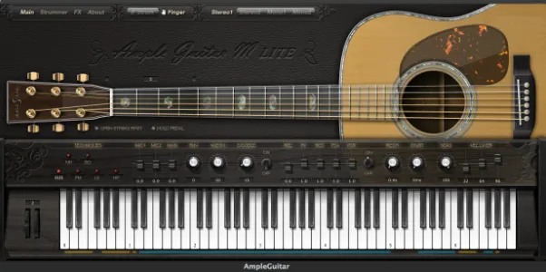 Ample Guitar M
