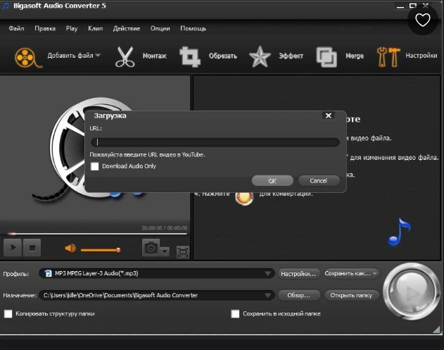 Bigasoft Audio Converter