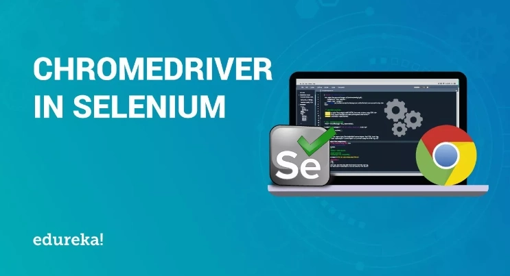ChromeDriver.EXE для Python Selenium
