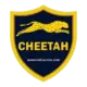 Иконка Cheetah Tool