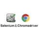 Иконка ChromeDriver.EXE для Python Selenium
