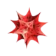 Иконка Wolfram Mathematica
