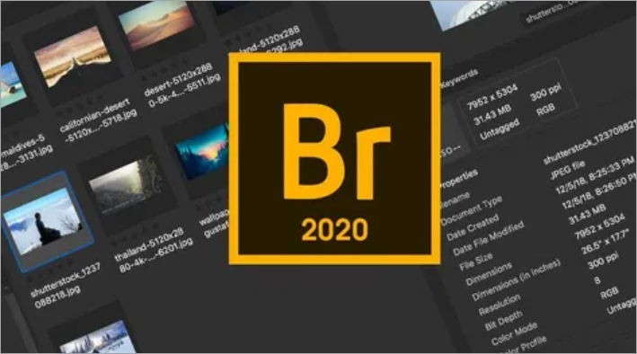 Интерфейс Adobe Bridge CC 2020