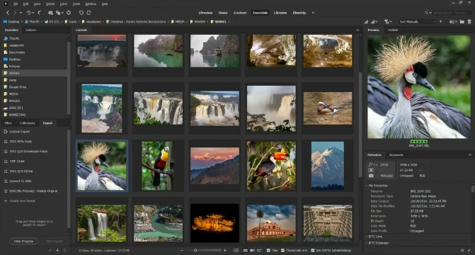 Интерфейс Adobe Bridge