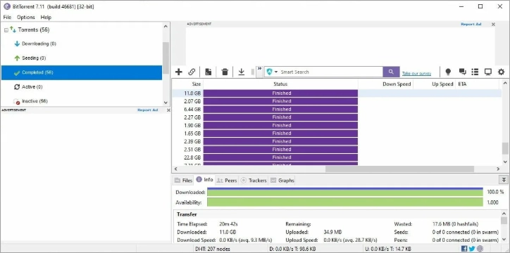 Интерфейс BitTorrent Pro