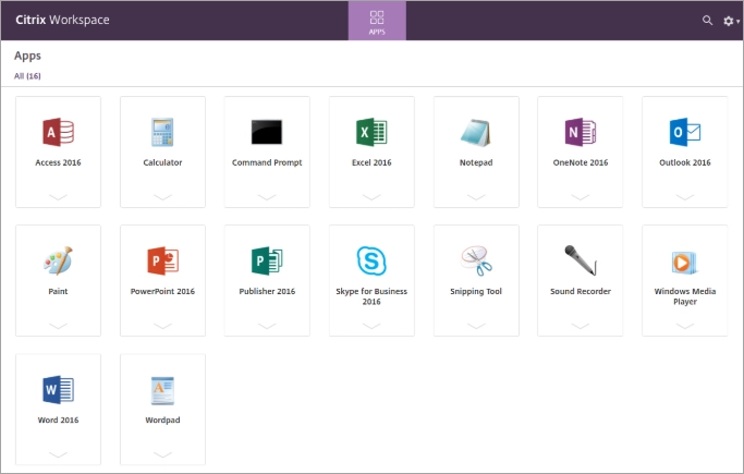 Интерфейс Citrix Workspace