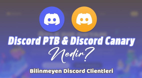 Интерфейс Discord Canary