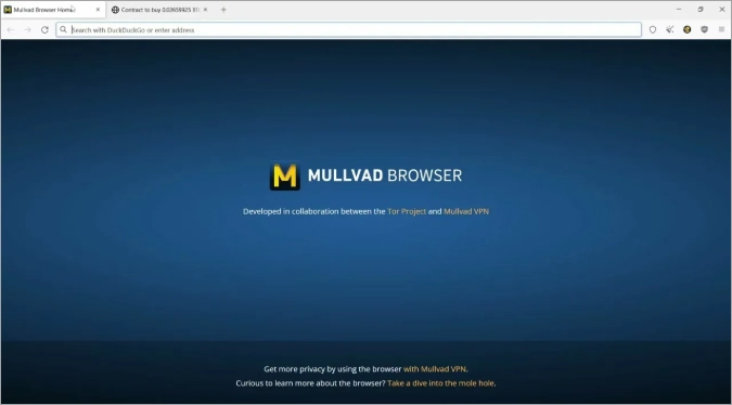 Интерфейс Mullvad Browser