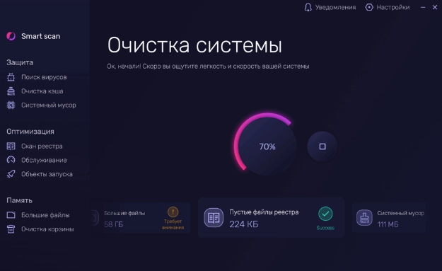 Интерфейс Telamon cleaner