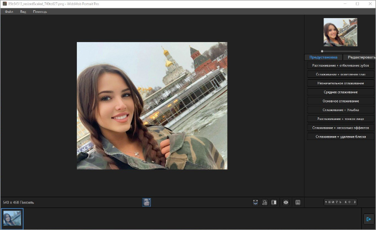 Интерфейс WidsMob Portrait