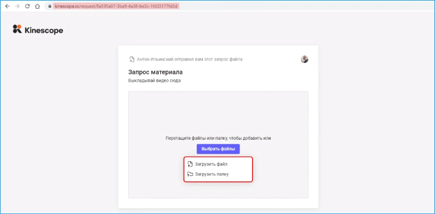Kinescope Downloader Video