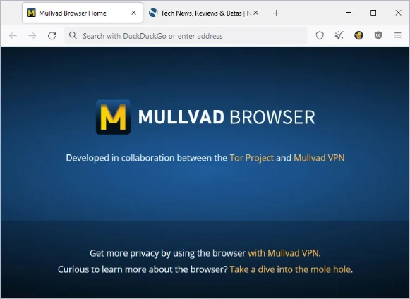 Mullvad Browser